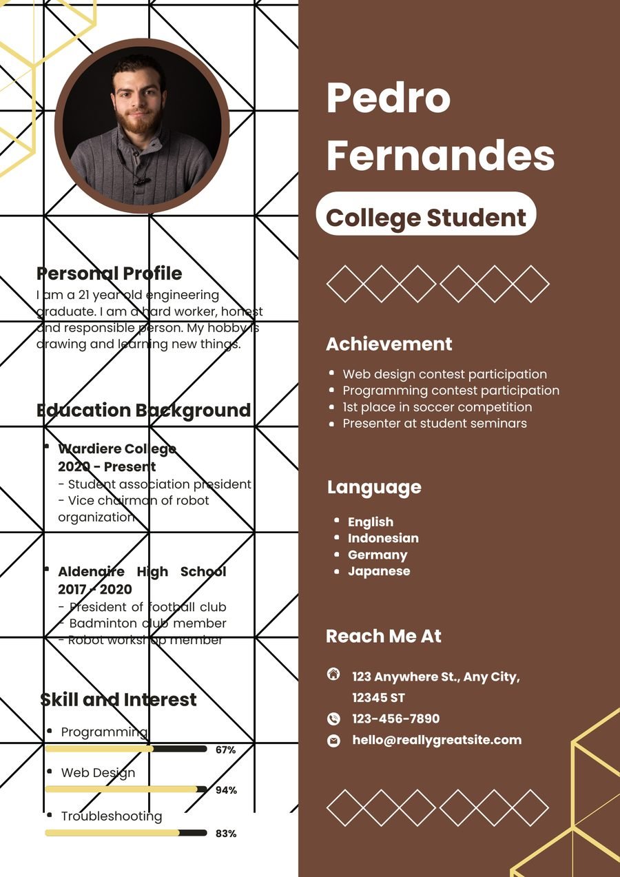Terracotta Grid CV template preview