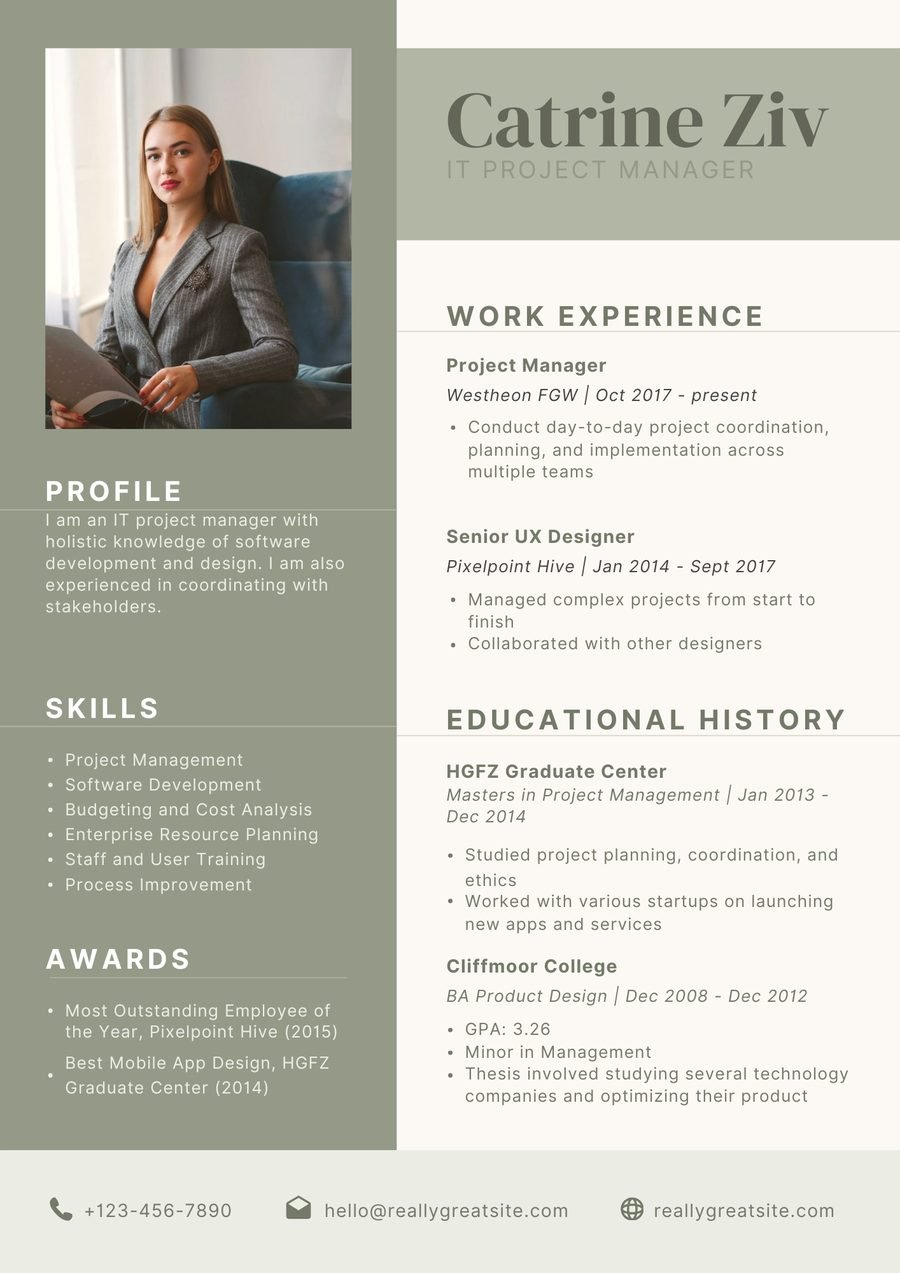 Sage Panel CV template preview