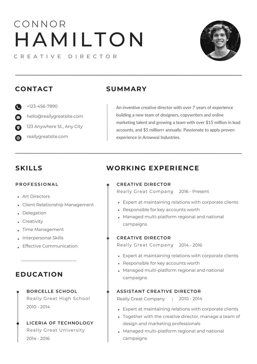 Minimal Pro CV template preview