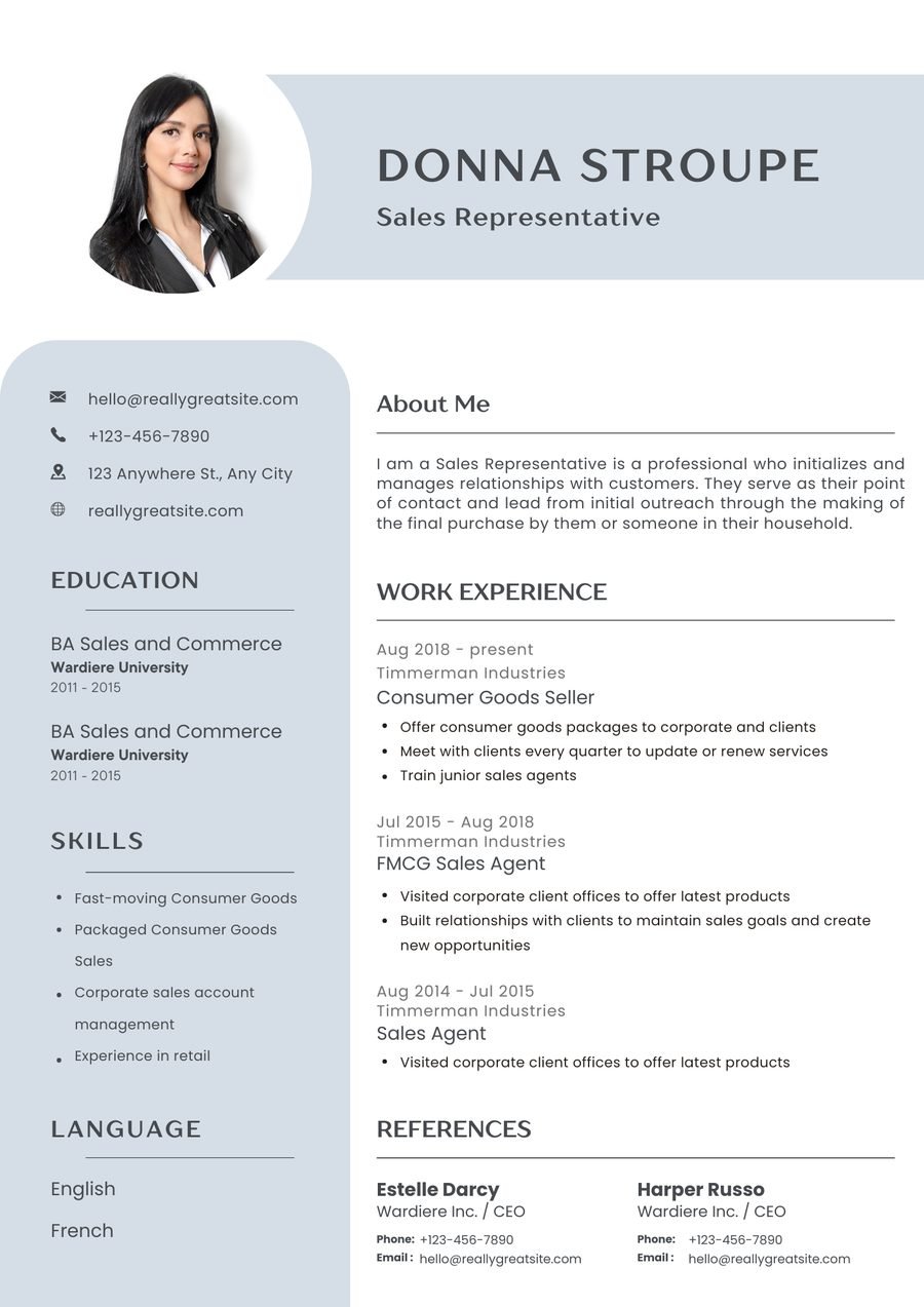 Silver Blue CV template preview