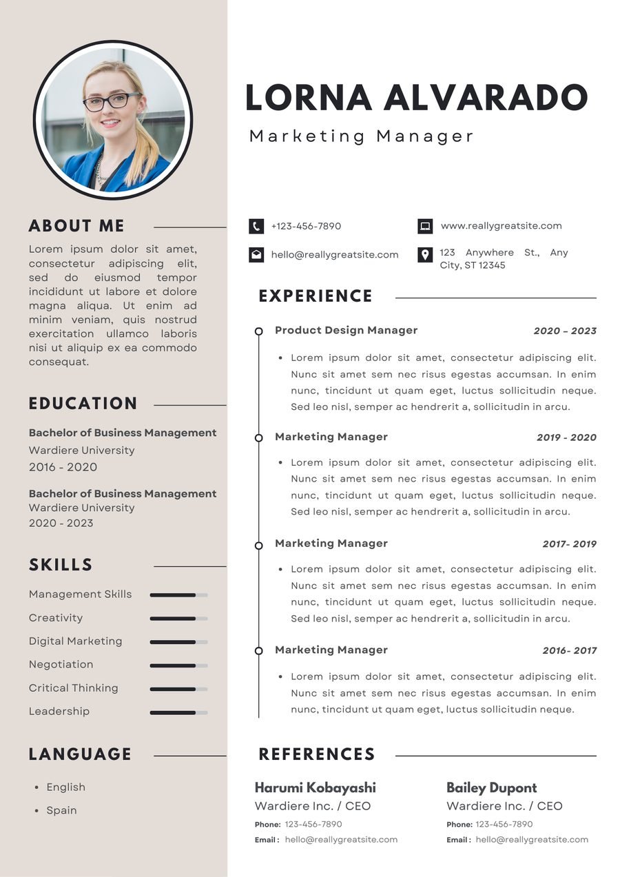 Ringed Professional CV template preview